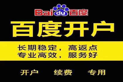 SEM竞价员实战案例分析：数据驱动决策